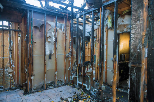 Professional Fire Damage Removal technician working in Gainesville, TX